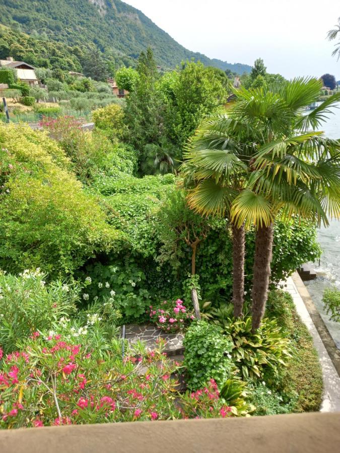 L'Oleandro Sul Lago D'Iseo B&B Sulzano Eksteriør billede