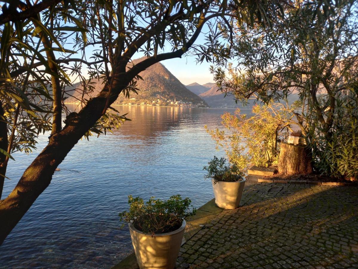 L'Oleandro Sul Lago D'Iseo B&B Sulzano Eksteriør billede